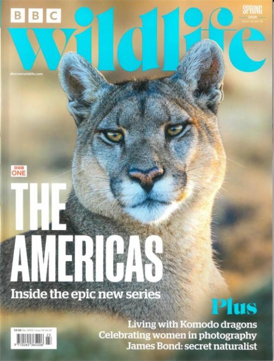 BBC Wildlife