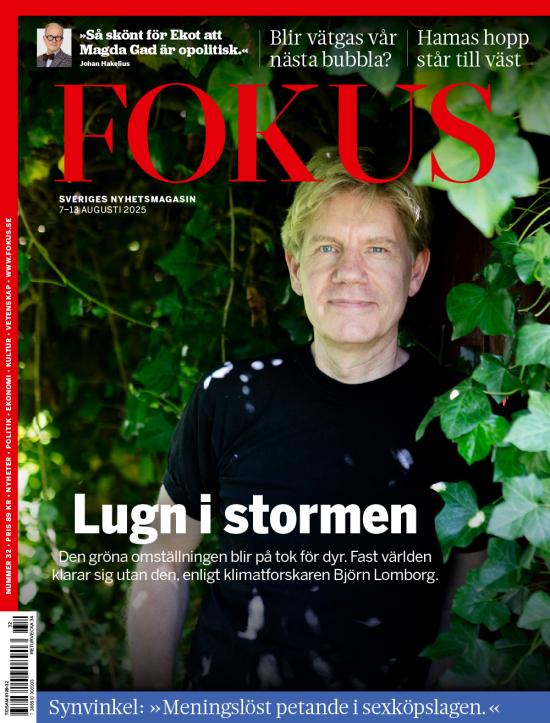 Fokus