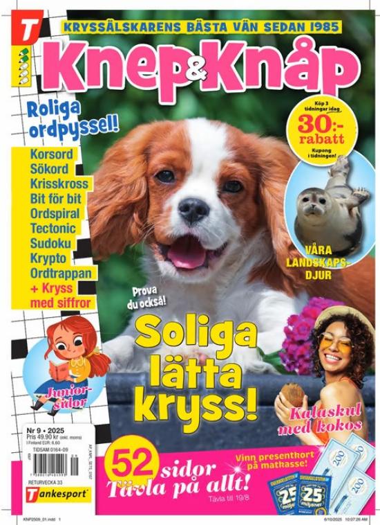 Knep & Knåp