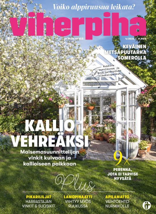 Viherpiha