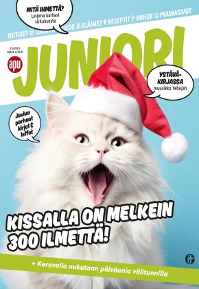Apu Juniori