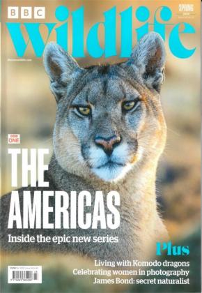 BBC Wildlife