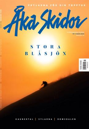 Åka Skidor