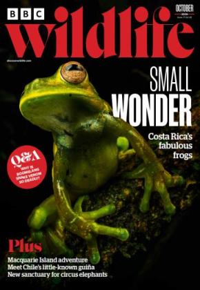 BBC Wildlife