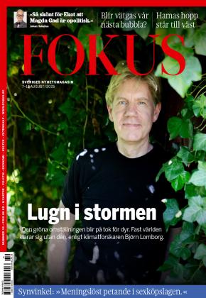 Fokus