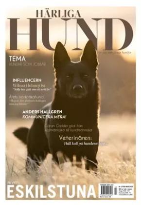 Härliga Hund