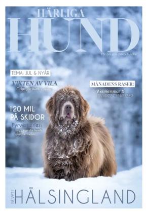 Härliga Hund