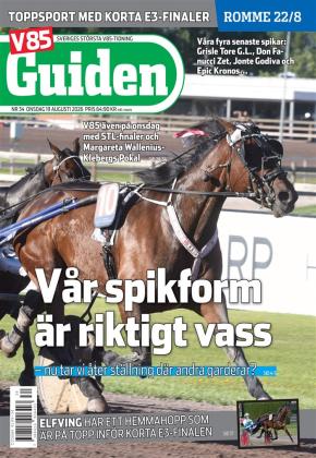 V85 Guiden