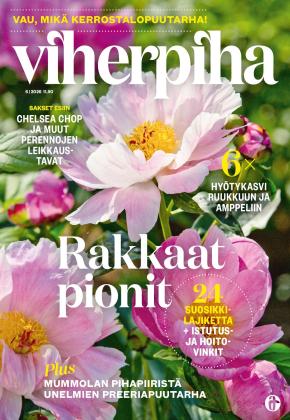 Viherpiha